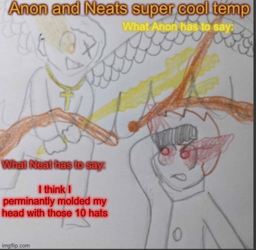 Anon and Neats super cool shared temp | I think I perminantly molded my head with those 10 hats | image tagged in anon and neats super cool shared temp | made w/ Imgflip meme maker