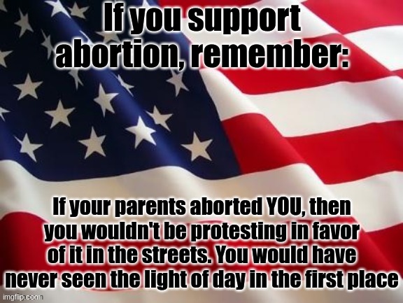 I bet they don't want to be killed as babies themselves. Treat others the way you want to be treated, it's a universal law. | If you support abortion, remember:; If your parents aborted YOU, then you wouldn't be protesting in favor of it in the streets. You would have never seen the light of day in the first place | image tagged in flag,abortion is murder,liberals | made w/ Imgflip meme maker