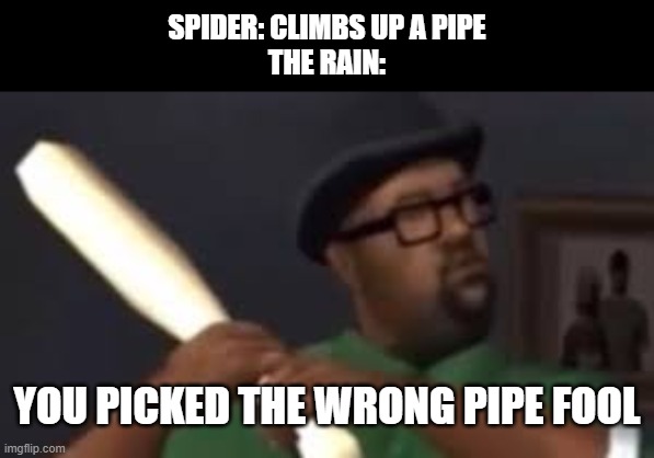 The insy winsy spider | SPIDER: CLIMBS UP A PIPE
THE RAIN:; YOU PICKED THE WRONG PIPE FOOL | image tagged in you picked the wrong house fool,spider | made w/ Imgflip meme maker