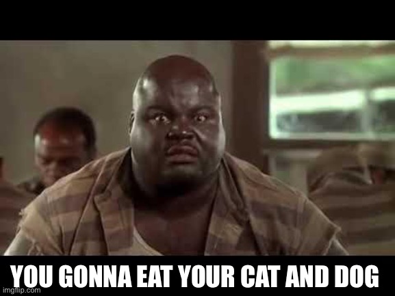 YOU GONNA EAT YOUR CAT AND DOG | image tagged in memes | made w/ Imgflip meme maker