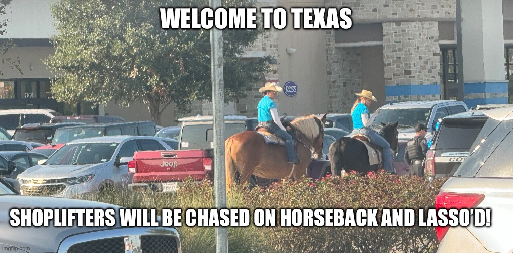 Shoplifting in Texas? | WELCOME TO TEXAS; SHOPLIFTERS WILL BE CHASED ON HORSEBACK AND LASSO’D! | image tagged in shoplifting,sandy lasso,horse,sheriff,well well well then lets find out | made w/ Imgflip meme maker