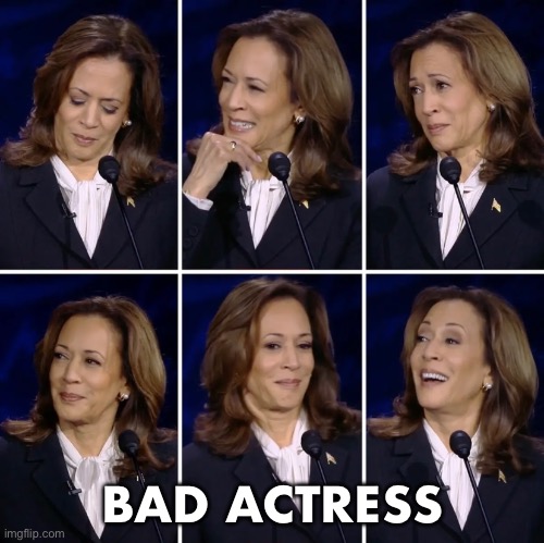 This is the worst actress ever! | BAD ACTRESS | image tagged in kamala harris,democrat party,communist,presidential election | made w/ Imgflip meme maker