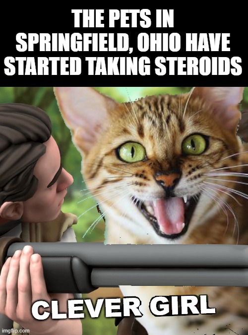 Clever kitty | THE PETS IN SPRINGFIELD, OHIO HAVE STARTED TAKING STEROIDS | image tagged in jurrasic park,cat,kitten | made w/ Imgflip meme maker