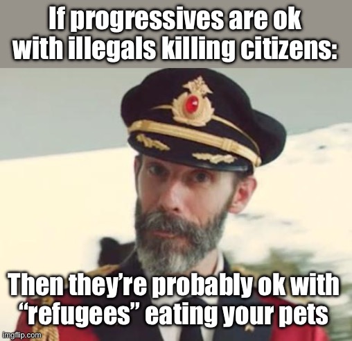 Staying in power is more important | If progressives are ok with illegals killing citizens:; Then they’re probably ok with 
“refugees” eating your pets | image tagged in captain obvious,politics lol,memes | made w/ Imgflip meme maker