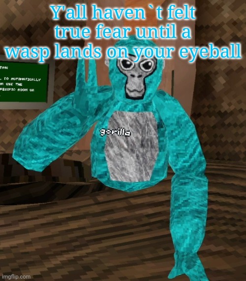 Monkey | Y'all haven`t felt true fear until a wasp lands on your eyeball | image tagged in monkey | made w/ Imgflip meme maker