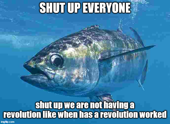 Tuma fibsh | SHUT UP EVERYONE; shut up we are not having a revolution like when has a revolution worked | image tagged in tuma fibsh | made w/ Imgflip meme maker