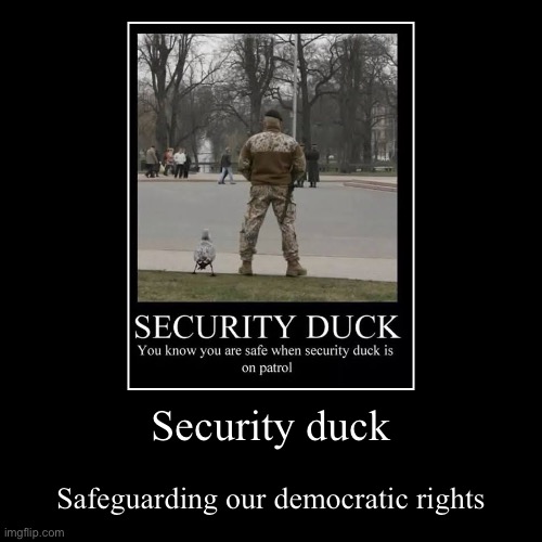 Democracy Duck | Security duck | Safeguarding our democratic rights | image tagged in funny,demotivationals | made w/ Imgflip demotivational maker