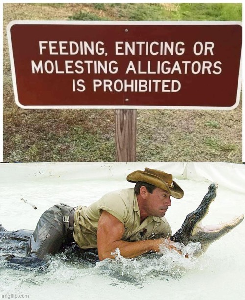 No molesting gators - Imgflip