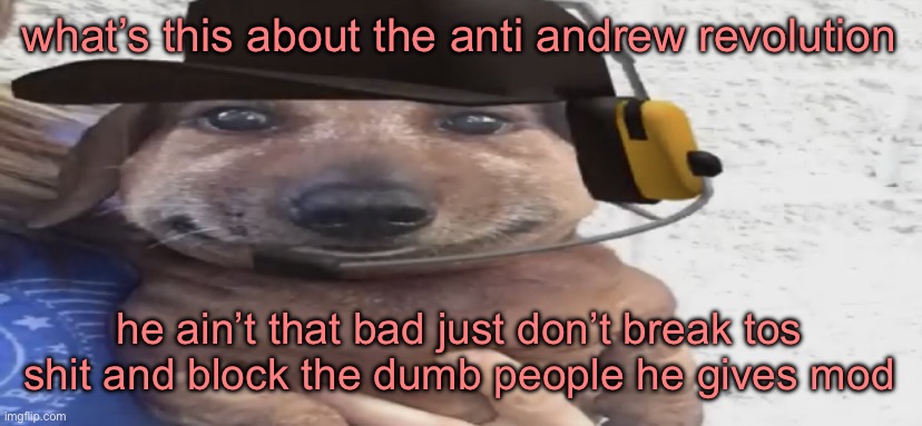 type shi! type shi! type shi! type shi! type shi! | what’s this about the anti andrew revolution; he ain’t that bad just don’t break tos shit and block the dumb people he gives mod | image tagged in chucklenuts | made w/ Imgflip meme maker