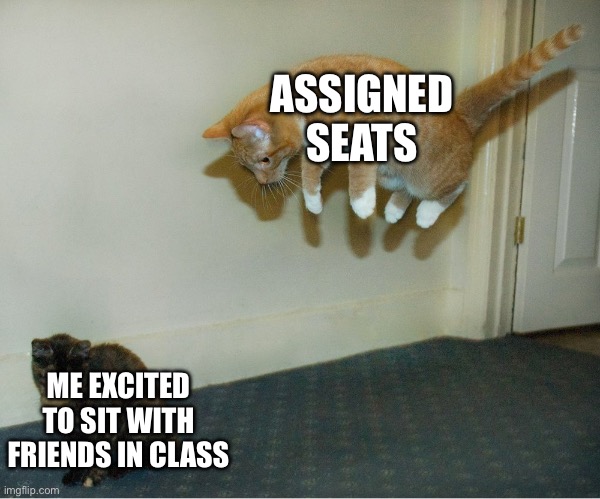 cat pounce | ASSIGNED SEATS; ME EXCITED TO SIT WITH FRIENDS IN CLASS | image tagged in cat pounce | made w/ Imgflip meme maker