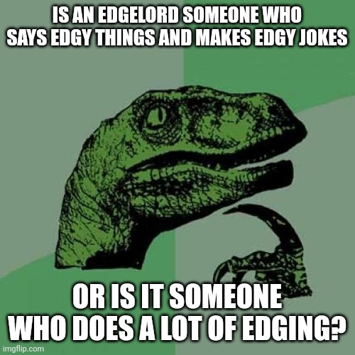 Philosoraptor Meme | IS AN EDGELORD SOMEONE WHO SAYS EDGY THINGS AND MAKES EDGY JOKES; OR IS IT SOMEONE WHO DOES A LOT OF EDGING? | image tagged in memes,philosoraptor | made w/ Imgflip meme maker