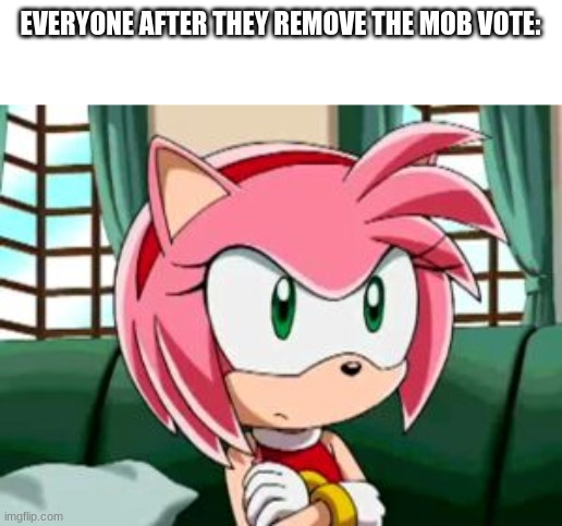 Unamused Amy Rose | EVERYONE AFTER THEY REMOVE THE MOB VOTE: | image tagged in unamused amy rose | made w/ Imgflip meme maker