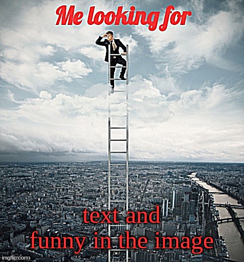 Searching | text and funny in the image | image tagged in searching | made w/ Imgflip meme maker