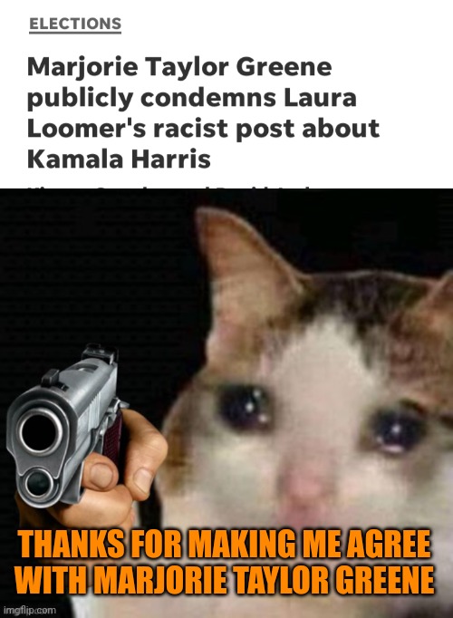 THANKS FOR MAKING ME AGREE WITH MARJORIE TAYLOR GREENE | image tagged in sad cat pointing gun,laura loomer,marjorie taylor greene,kamala harris | made w/ Imgflip meme maker