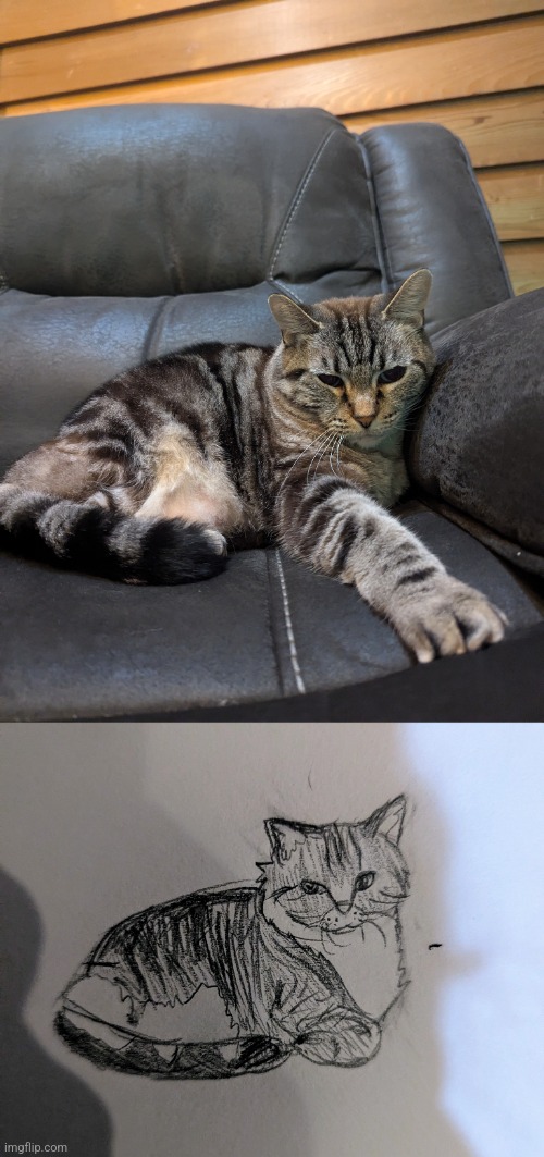 I've drawn the elusive chonkus pukus | image tagged in meow,look at this chonk,always throwing up everywhere | made w/ Imgflip meme maker