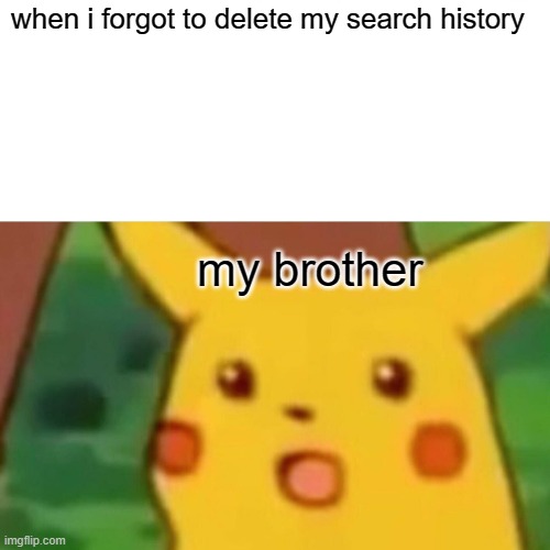 Surprised Pikachu Meme | when i forgot to delete my search history; my brother | image tagged in memes,surprised pikachu | made w/ Imgflip meme maker