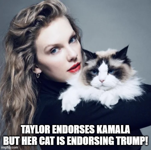 Taylor Swift's Cat Endorses Trump | TAYLOR ENDORSES KAMALA BUT HER CAT IS ENDORSING TRUMP! | image tagged in cat,trump,taylor swift | made w/ Imgflip meme maker