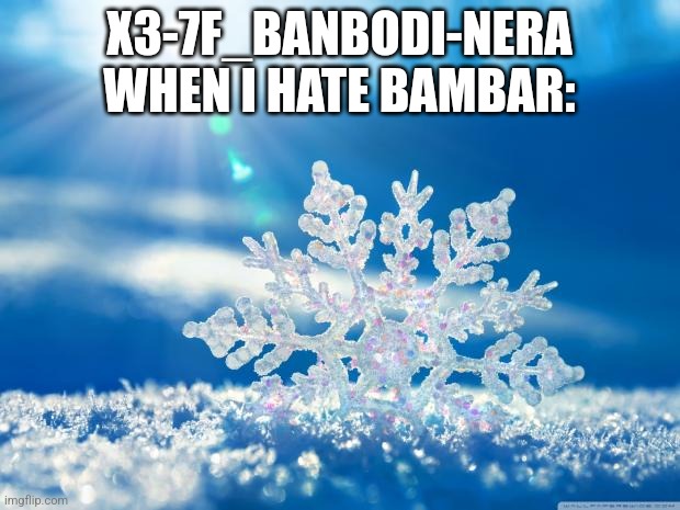 snowflake | X3-7F_BANBODI-NERA WHEN I HATE BAMBAR: | image tagged in snowflake | made w/ Imgflip meme maker