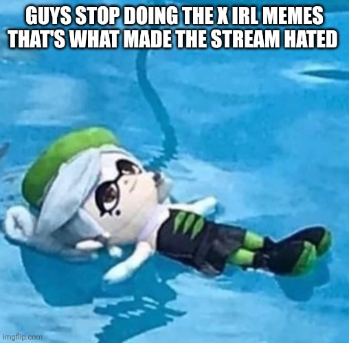 Marie swimming | GUYS STOP DOING THE X IRL MEMES THAT'S WHAT MADE THE STREAM HATED | image tagged in marie swimming | made w/ Imgflip meme maker