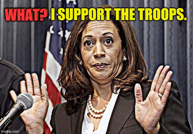 WHAT? I SUPPORT THE TROOPS. WHAT? | made w/ Imgflip meme maker