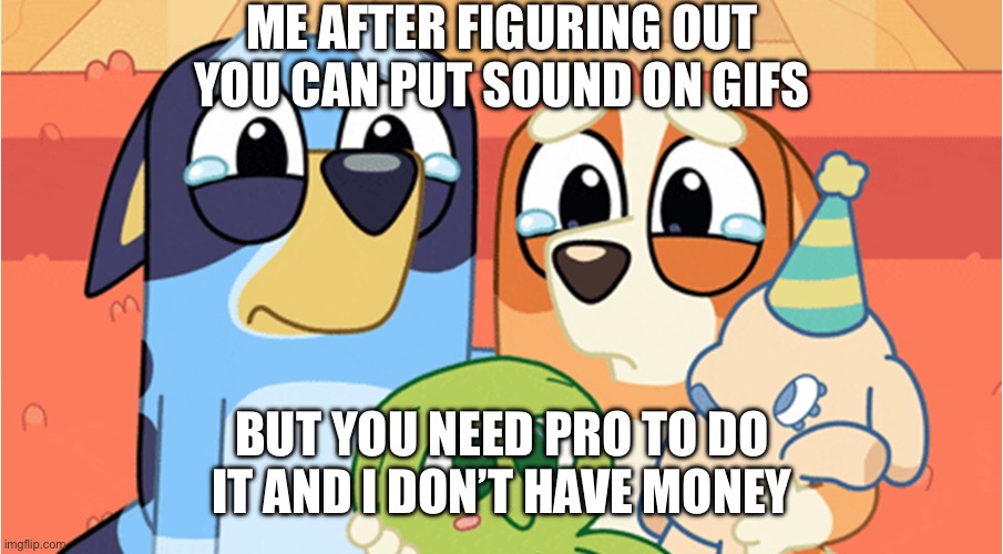 The moment where it’s too good to be true | ME AFTER FIGURING OUT YOU CAN PUT SOUND ON GIFS; BUT YOU NEED PRO TO DO IT AND I DON’T HAVE MONEY | image tagged in bluey memes | made w/ Imgflip meme maker