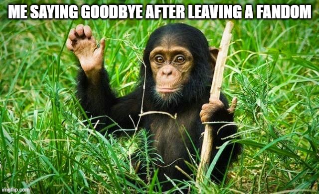 like and sub to xxmemegamerxx if u understand | ME SAYING GOODBYE AFTER LEAVING A FANDOM | image tagged in goodbye | made w/ Imgflip meme maker