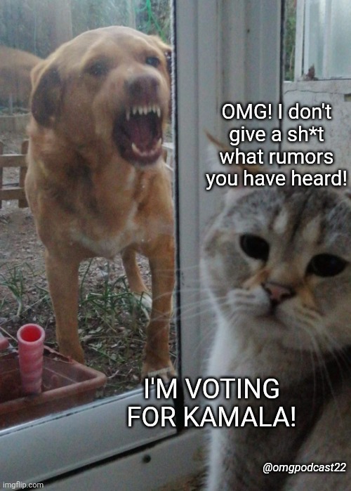 I don't care about rumors | OMG! I don't give a sh*t what rumors you have heard! I'M VOTING FOR KAMALA! @omgpodcast22 | image tagged in cat and angry dog | made w/ Imgflip meme maker