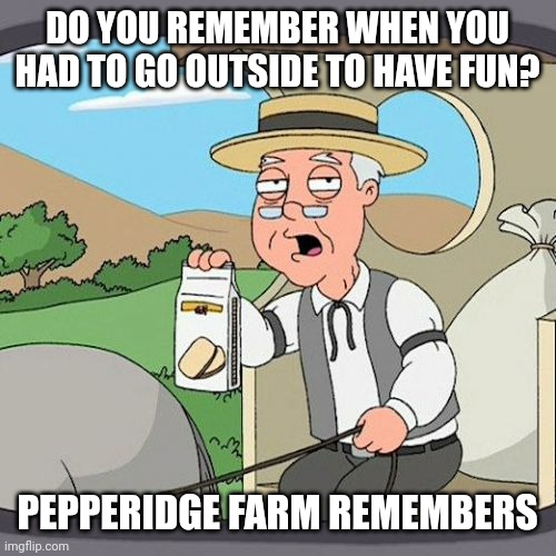 If only I had friends | DO YOU REMEMBER WHEN YOU HAD TO GO OUTSIDE TO HAVE FUN? PEPPERIDGE FARM REMEMBERS | image tagged in memes,pepperidge farm remembers | made w/ Imgflip meme maker