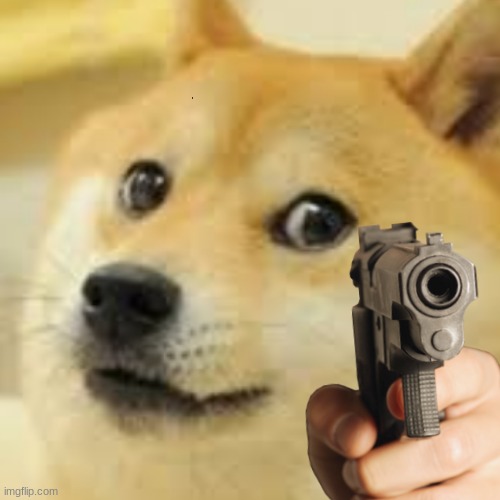 Doge is gonna fucking nae nae your human right | image tagged in doge is gonna fucking nae nae your human right | made w/ Imgflip meme maker