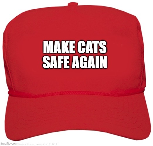 blank red MAGA hat | MAKE CATS SAFE AGAIN | image tagged in blank red maga hat | made w/ Imgflip meme maker