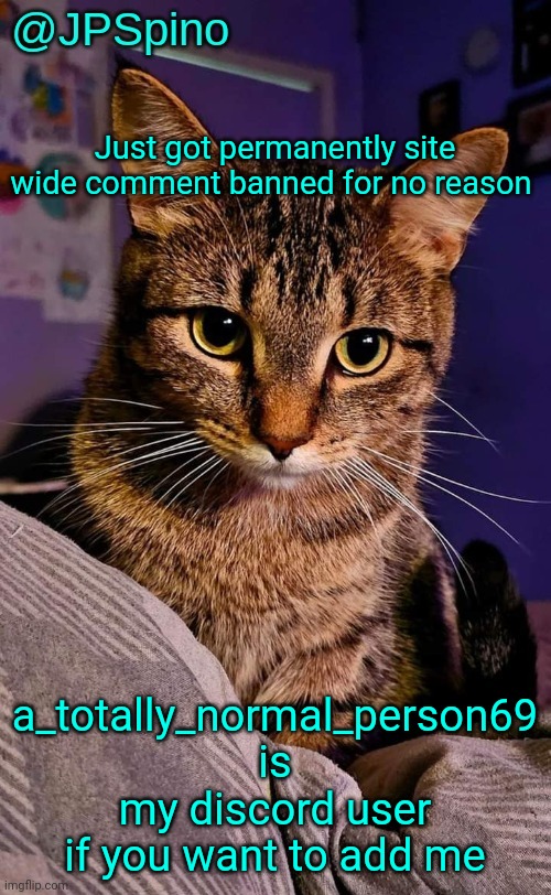 JPSpino's cat temp | Just got permanently site wide comment banned for no reason; a_totally_normal_person69 is my discord user if you want to add me | image tagged in jpspino's cat temp | made w/ Imgflip meme maker