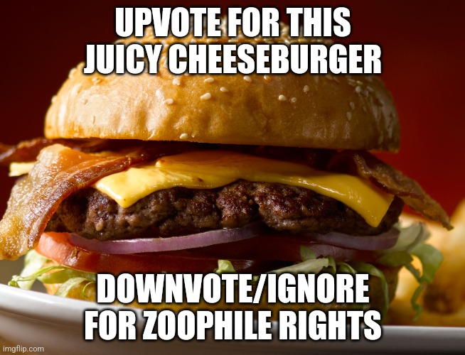 Cheeseburger | UPVOTE FOR THIS JUICY CHEESEBURGER; DOWNVOTE/IGNORE FOR ZOOPHILE RIGHTS | image tagged in cheeseburger | made w/ Imgflip meme maker