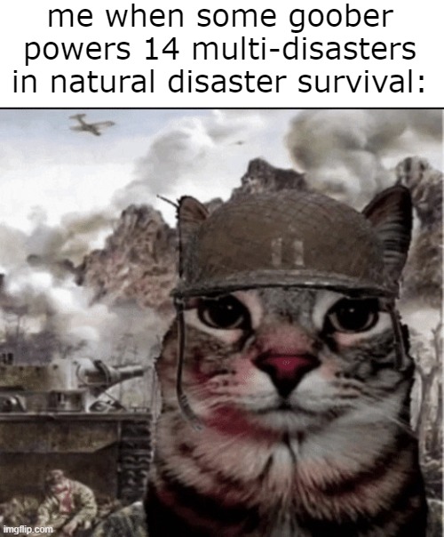 trauma | me when some goober powers 14 multi-disasters in natural disaster survival: | image tagged in thousand yard stare cat,funny,roblox,memes | made w/ Imgflip meme maker