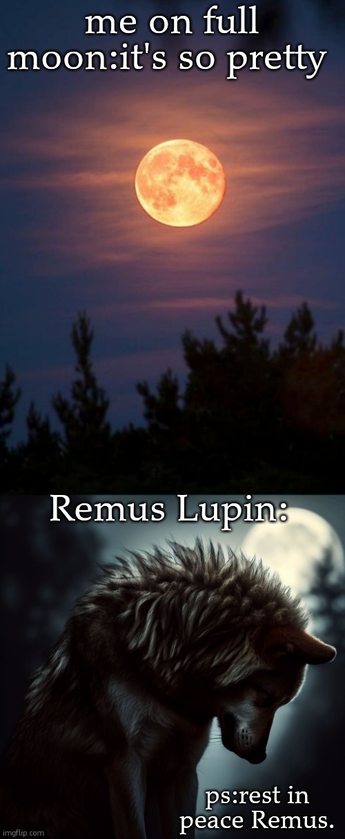 opposites | me on full moon:it's so pretty; Remus Lupin:; ps:rest in peace Remus. | image tagged in full moon,sad wolf under full moon,harry potter | made w/ Imgflip meme maker