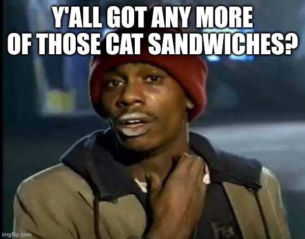 Y'all Got Any More Of That Meme | Y'ALL GOT ANY MORE OF THOSE CAT SANDWICHES? | image tagged in memes,y'all got any more of that | made w/ Imgflip meme maker