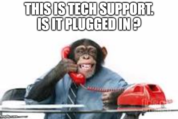 memes by Brad - funny tech support meme. Monkey is on the phone. | THIS IS TECH SUPPORT. IS IT PLUGGED IN ? | image tagged in funny,gaming,tech support,computer guy,humor,chimpanzee | made w/ Imgflip meme maker