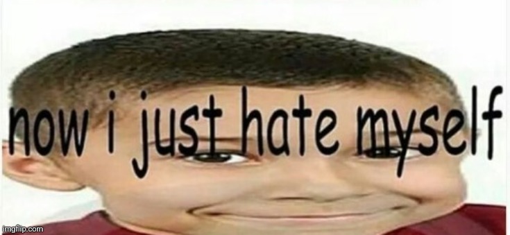 Now I just hate myself | image tagged in now i just hate myself | made w/ Imgflip meme maker