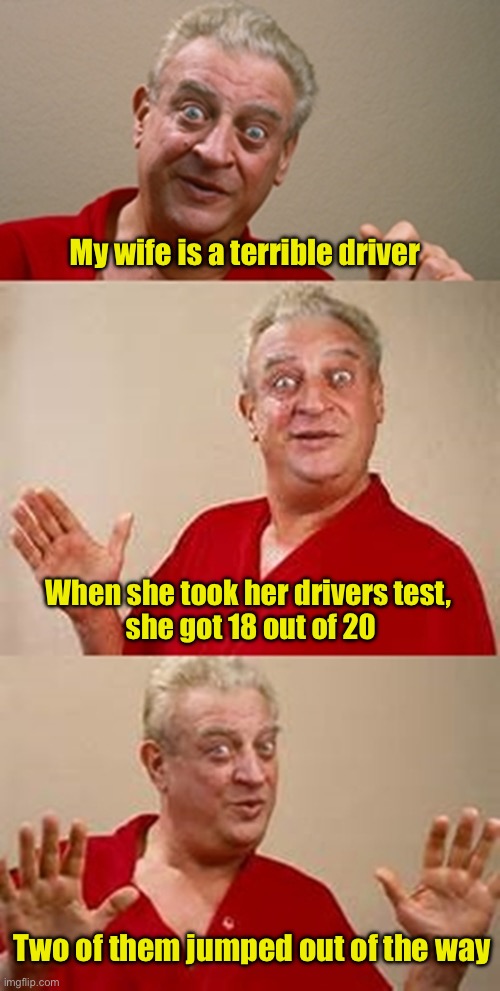 bad pun Dangerfield  | My wife is a terrible driver; When she took her drivers test, 
she got 18 out of 20; Two of them jumped out of the way | image tagged in bad pun dangerfield | made w/ Imgflip meme maker