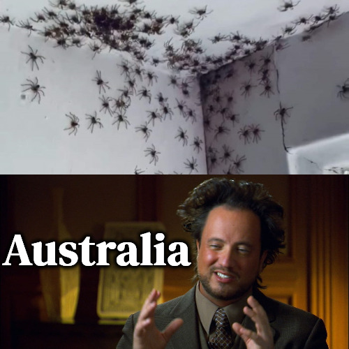 Australia | Australia | image tagged in ancient aliens guy,australia,spiders,meanwhile in australia,nightmare fuel,memes | made w/ Imgflip meme maker