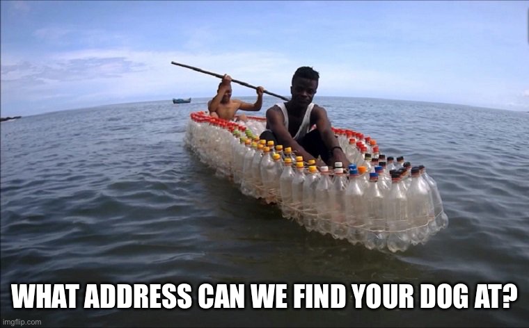 immigrants | WHAT ADDRESS CAN WE FIND YOUR DOG AT? | image tagged in immigrants | made w/ Imgflip meme maker