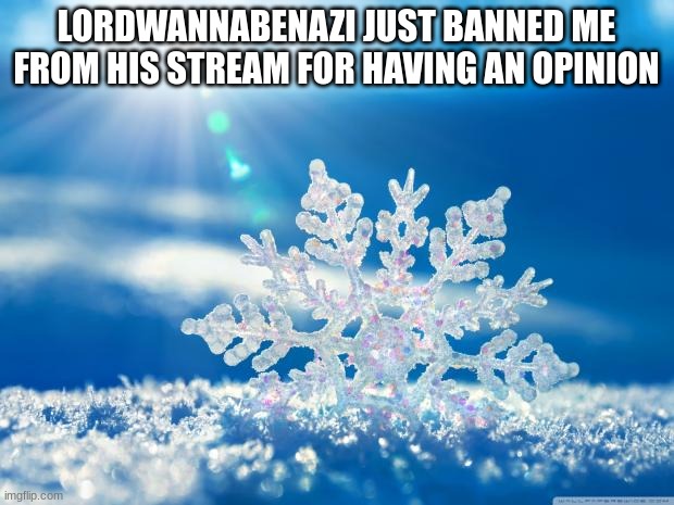 he reminds me of Heinz | LORDWANNABENAZI JUST BANNED ME FROM HIS STREAM FOR HAVING AN OPINION | image tagged in snowflake | made w/ Imgflip meme maker