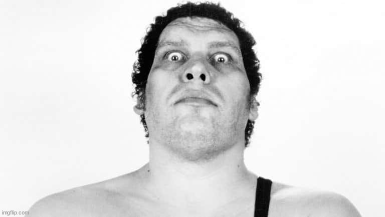 I'm With Andre | image tagged in andre the giant | made w/ Imgflip meme maker