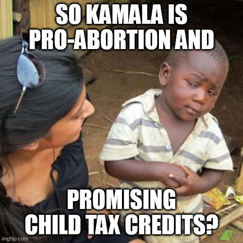 Incredulous | SO KAMALA IS PRO-ABORTION AND; PROMISING CHILD TAX CREDITS? | image tagged in incredulous,kamala harris,abortion,liberal hypocrisy,false advertising | made w/ Imgflip meme maker