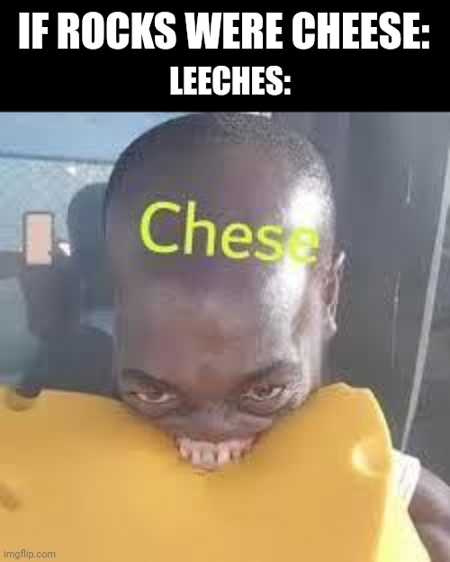 Chese | IF ROCKS WERE CHEESE:; LEECHES: | image tagged in chese | made w/ Imgflip meme maker