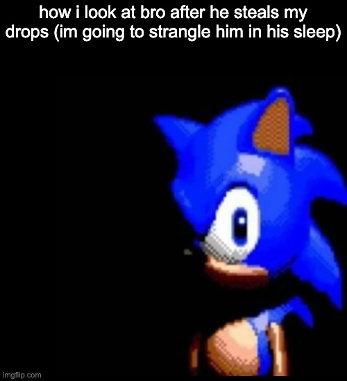 man i fucking hate loot stealers | how i look at bro after he steals my drops (im going to strangle him in his sleep) | image tagged in sonic stares | made w/ Imgflip meme maker