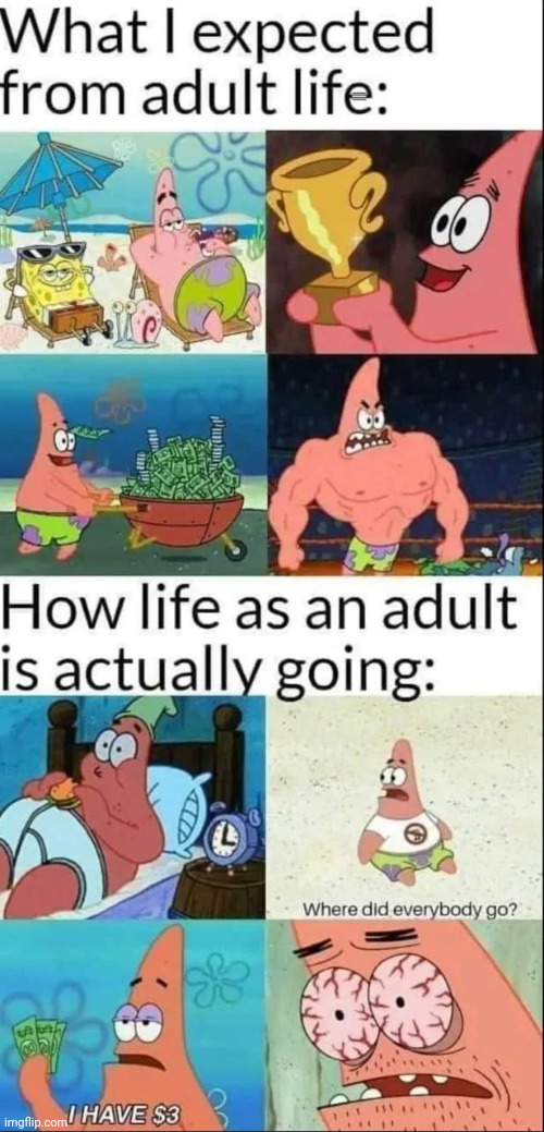 "Reality is often disappointing" - Thanos | image tagged in expectation vs reality,patrick star | made w/ Imgflip meme maker