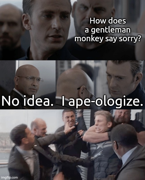 I ape-ologize for this joke. | How does a gentleman monkey say sorry? No idea. I ape-ologize. | image tagged in captain america elevator,monkey,sorry | made w/ Imgflip meme maker