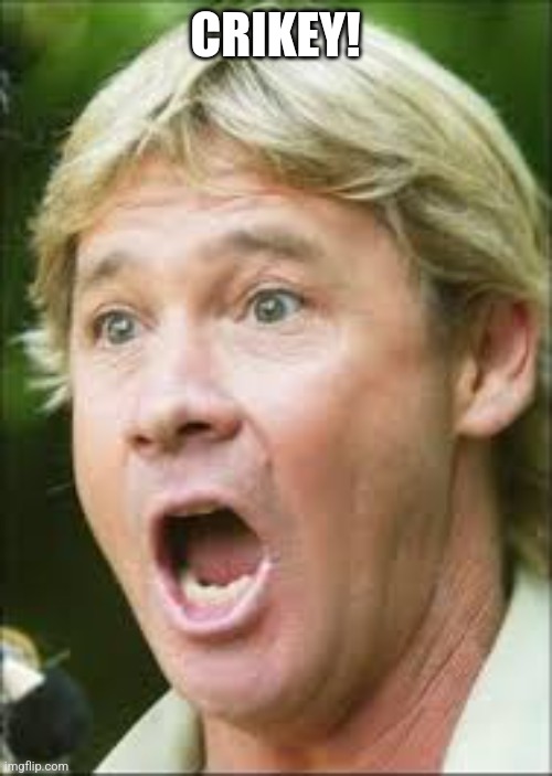 steve irwin crikey | CRIKEY! | image tagged in steve irwin crikey | made w/ Imgflip meme maker