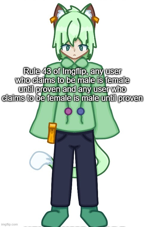 Neko drawn by Cosmo.PNG | Rule 43 of Imgflip, any user who claims to be male is female until proven and any user who claims to be female is male until proven | image tagged in neko drawn by cosmo png | made w/ Imgflip meme maker