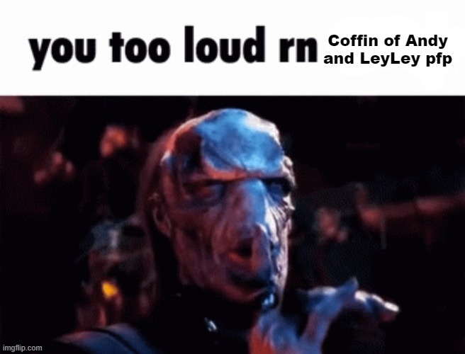 You too loud rn | Coffin of Andy and LeyLey pfp | image tagged in you too loud rn | made w/ Imgflip meme maker